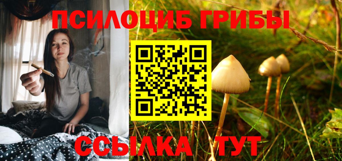 Галлюциногенные грибы прущие грибы  Вход с VPN  Шебекино 